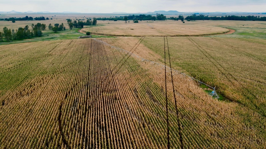 8 Bedroom Property for Sale in Bloemfontein Rural Free State